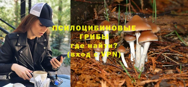 скорость Бронницы