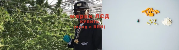 дживик Богородск