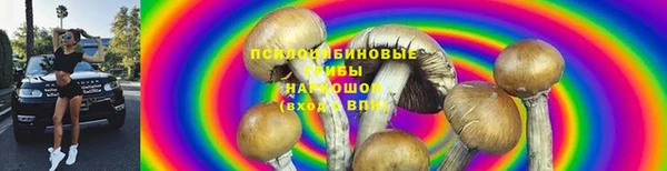 а пвп мука Бугульма