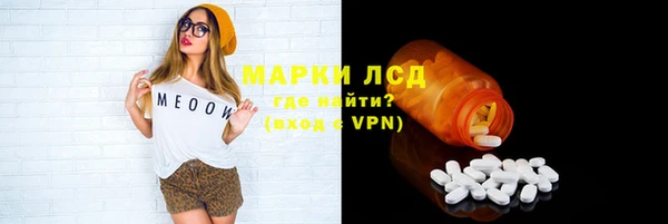 ПСИЛОЦИБИНОВЫЕ ГРИБЫ Бородино
