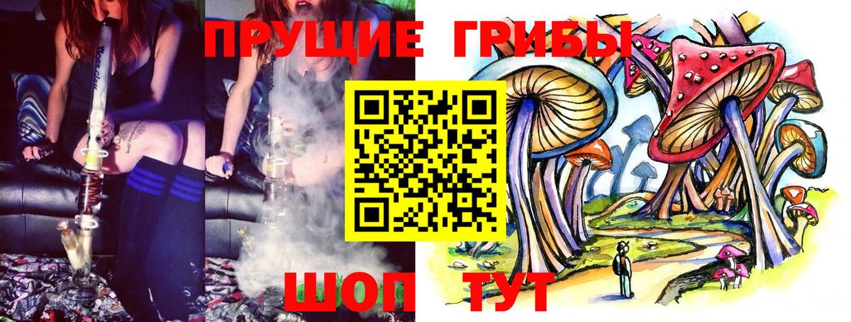 Галлюциногенные грибы Psilocybine cubensis Дальнегорск
