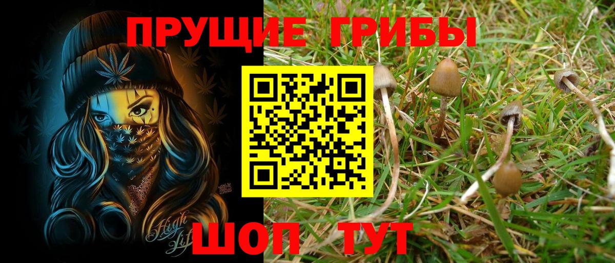 Дальнегорск  Псилоцибиновые грибы Psilocybe  Вход с VPN  Галлюциногенные грибы Psilocybine cubensis 
