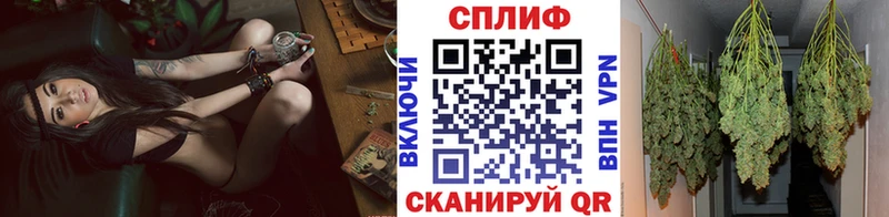 Каннабис семена Дальнегорск